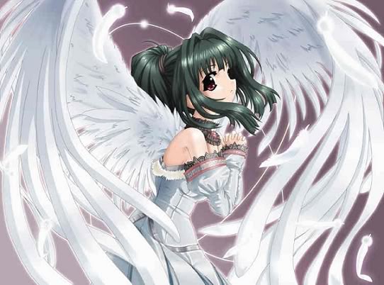 anime_angel.jpg